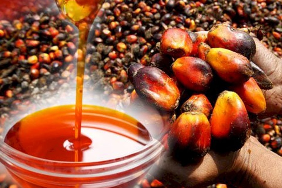 Красное Пальмовое Масло из Малайзии - ЭКСПОРТ – MALAYSIAN RED PALM OIL